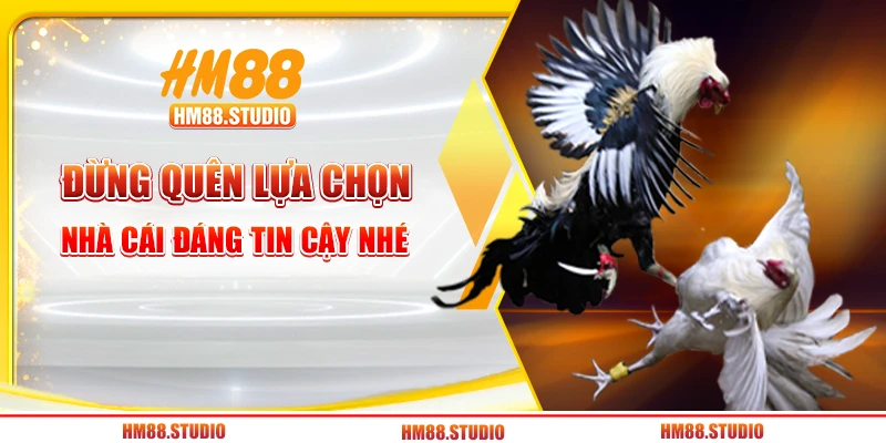 Đừng quên lựa chọn nhà cái đáng tin cậy nhé