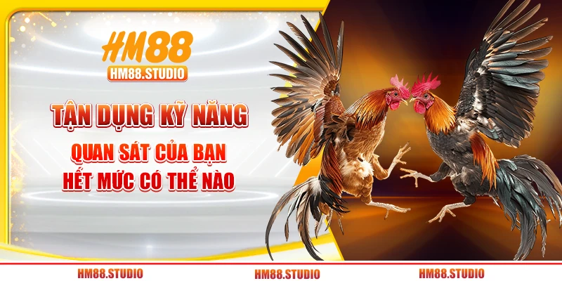 Tận dụng kỹ năng quan sát của bạn hết mức có thể nào