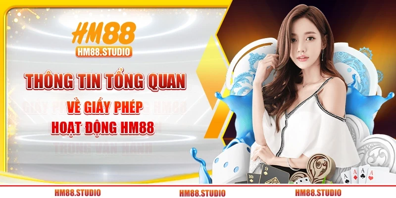 Thông tin tổng quan về giấy phép hoạt động HM88
